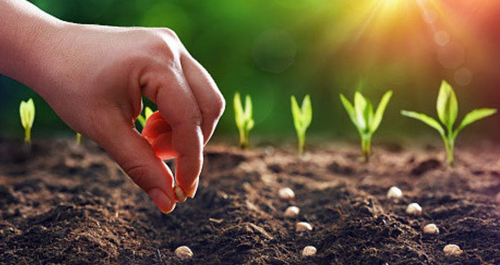 ringkasan-khotbah-16-juni-24-gki-samanhudi