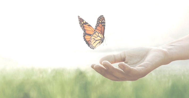 ringkasan-khotbah-gki-samanhudi-22-desember-2024-ku1