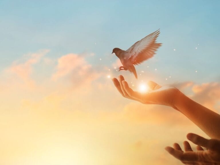 Ilustrasi sepasang tangan yang melepaskan seekor burung