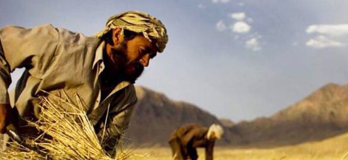 ringkasan-khotbah-6-juli-2025-gki-samanhudi