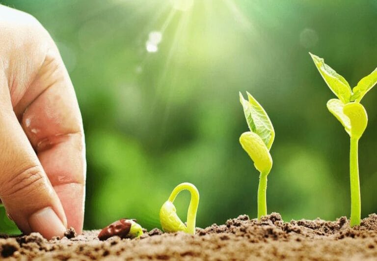 Ilustrasi tanaman yang mulai tumbuh dari biji di atas tanah