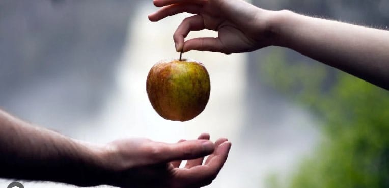 Bertanggung Jawab, Bukan Menyalahkan