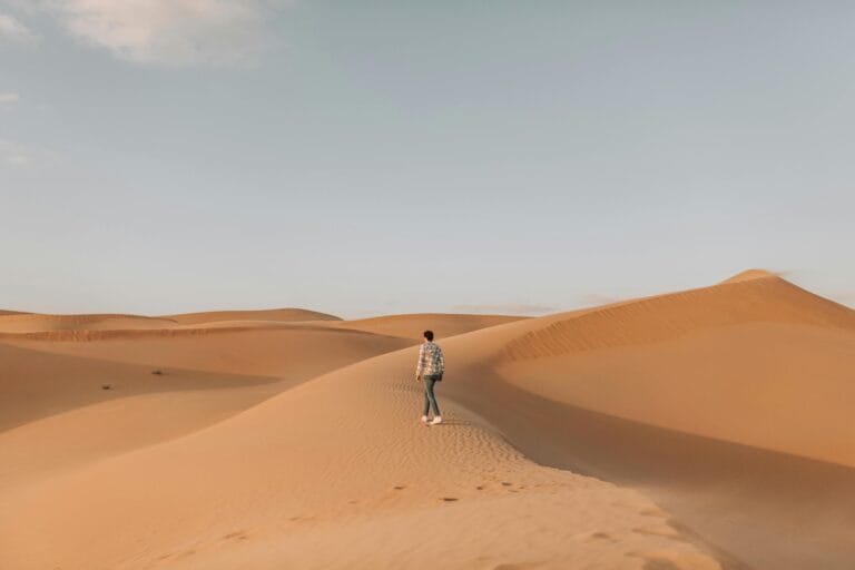 Photo by Vlada Karpovich: https://www.pexels.com/photo/man-walking-on-desert-4449315/