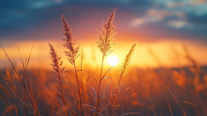 Nature Background, High-Resolution Wallpaper for a Serene and Stunning View